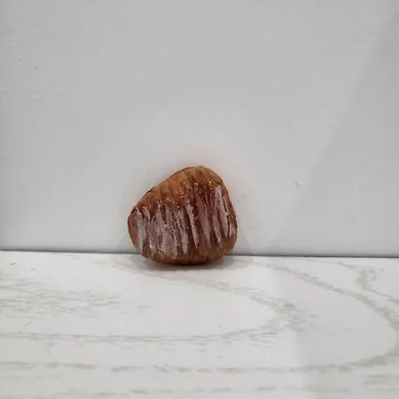 게스트하우스 Il Biscottino