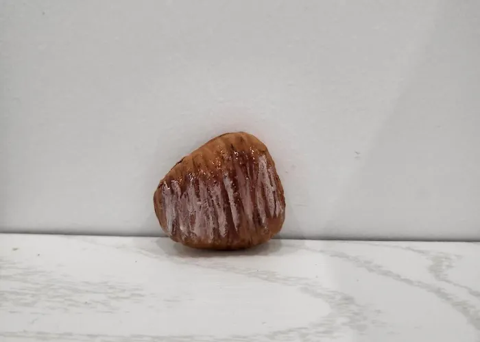 招待所 Il Biscottino